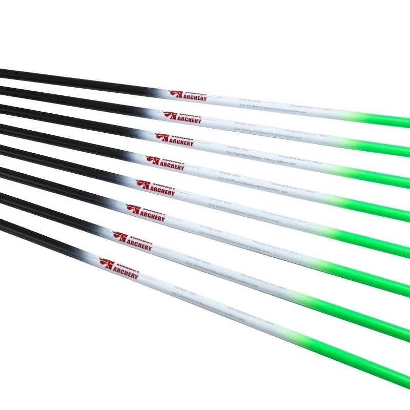 Linkboy Tiro con l'arco Frecce - Hunting Bow Compound recensione e prezzo