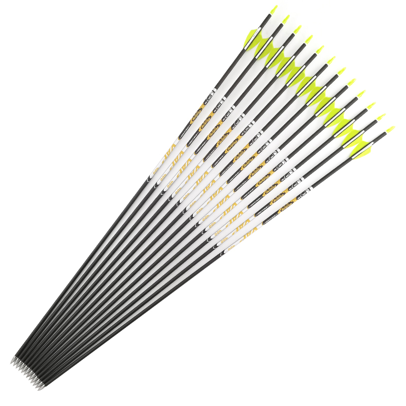 Tiro con l'arco Colonna verteb - Hunting Bow Compound recensione e prezzo