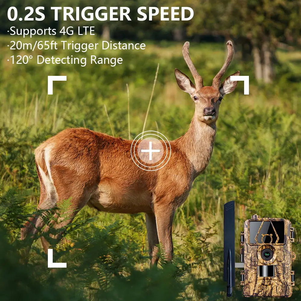 1 pz HD8K telecamera a infraro - Outdoor Hunting Camera Wifi recensione e prezzo