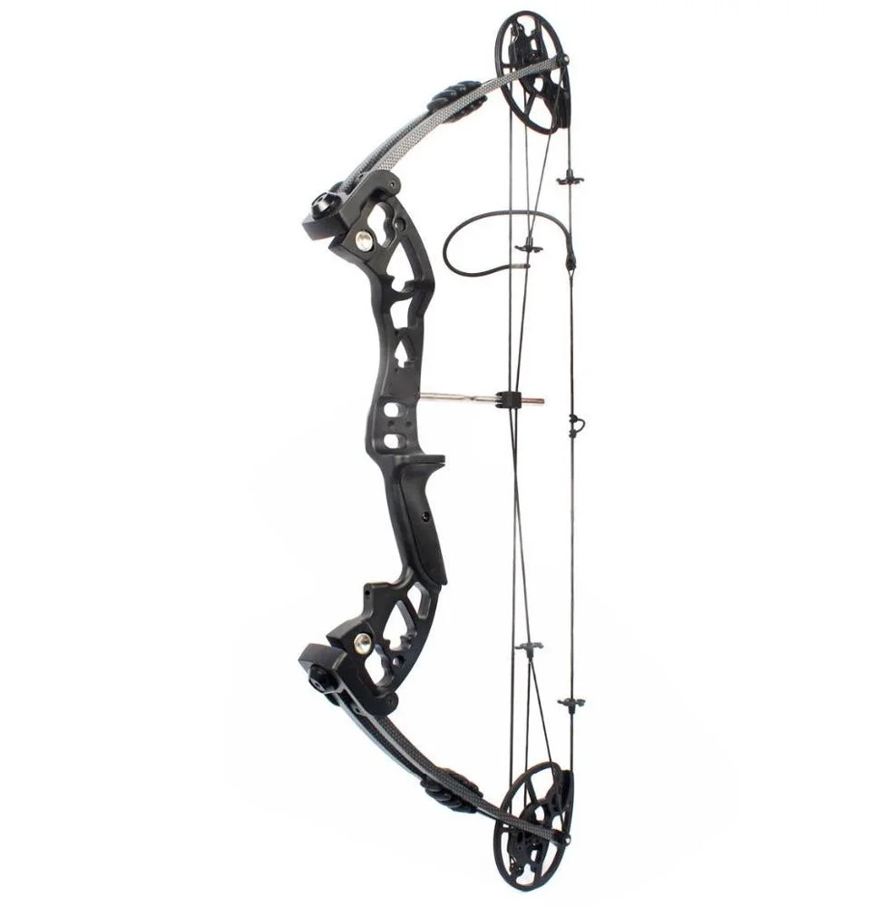 Arco composto M120 Nuovo desig - Hunting Bow Compound recensione e prezzo