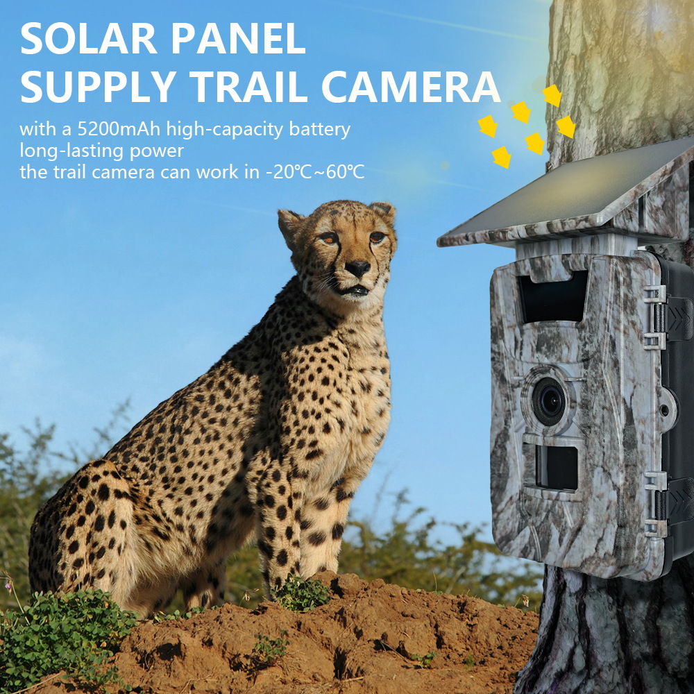 Telecamera da caccia solare Wi - Outdoor Hunting Camera Wifi recensione e prezzo