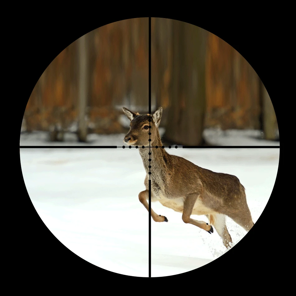 Cannocchiale Tattico 3-9X26EG  - Crossbow Scope Sight recensione e prezzo