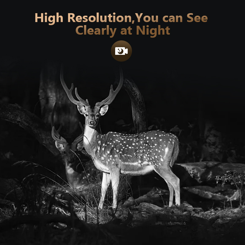 Telecamera da gioco per caccia - Outdoor Hunting Camera Wifi recensione e prezzo
