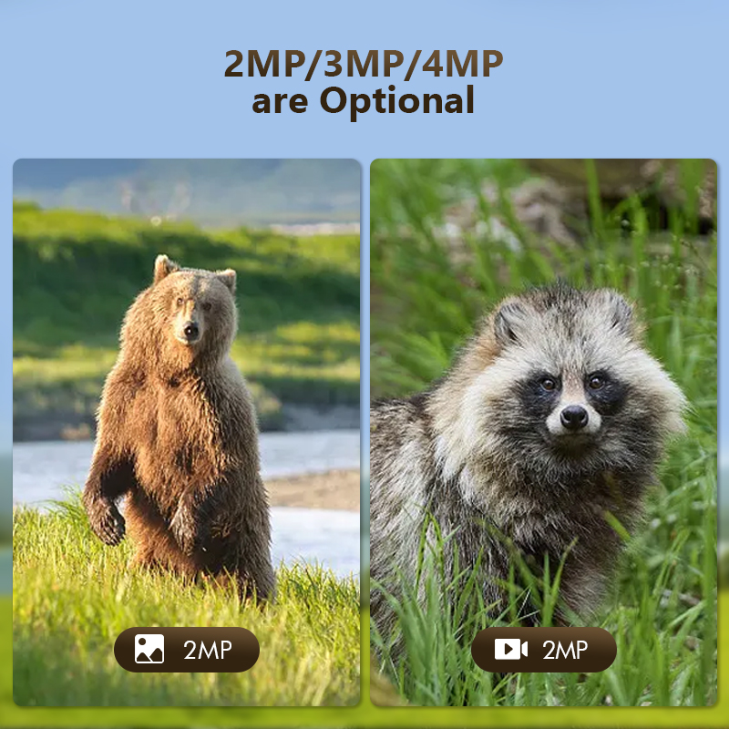 Telecamera da gioco per caccia - Outdoor Hunting Camera Wifi recensione e prezzo