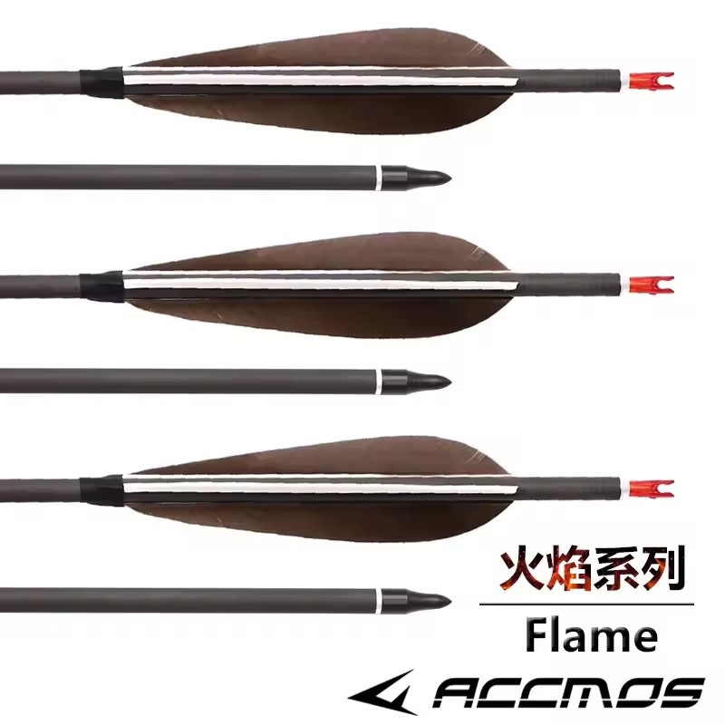 ACCMOS Frecce in carbonio puro - Hunting Bow Compound recensione e prezzo