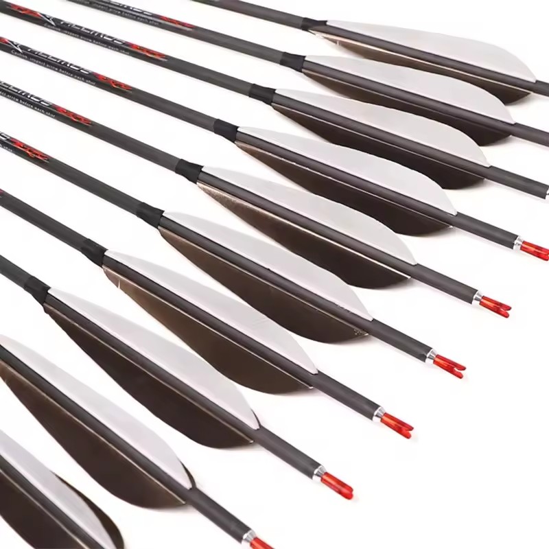 ACCMOS Frecce in carbonio puro - Hunting Bow Compound recensione e prezzo