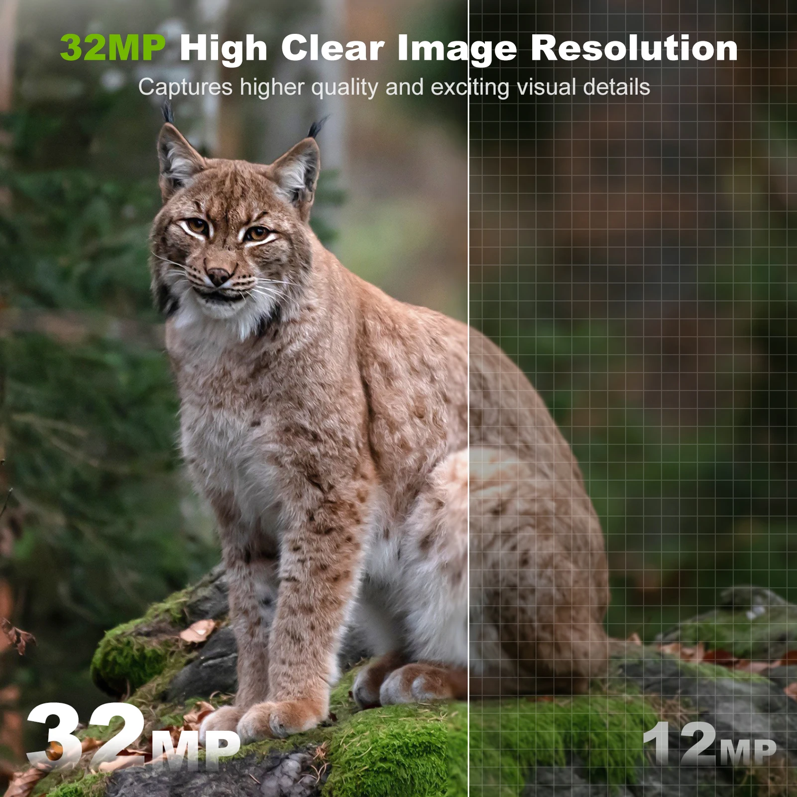 Telecamera solare Telecamera d - Outdoor Hunting Camera Wifi recensione e prezzo